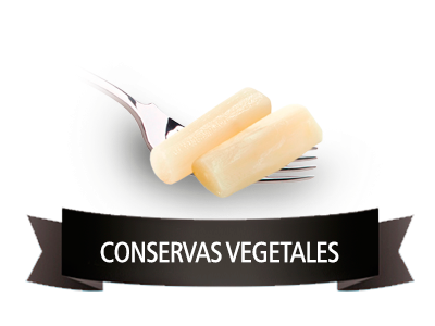 conservas vegetales